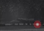Image of P-38 fighter planes Guadalcanal Solomon Islands, 1944, second 35 stock footage video 65675036199