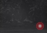 Image of P-38 fighter planes Guadalcanal Solomon Islands, 1944, second 48 stock footage video 65675036199