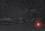 Image of P-38 fighter planes Guadalcanal Solomon Islands, 1944, second 56 stock footage video 65675036199