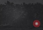 Image of fighter planes take off Guadalcanal Solomon Islands, 1944, second 4 stock footage video 65675036200