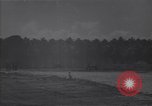 Image of Wrecked American warplanes Guadalcanal Solomon Islands, 1944, second 10 stock footage video 65675036201