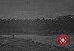 Image of Wrecked American warplanes Guadalcanal Solomon Islands, 1944, second 17 stock footage video 65675036201