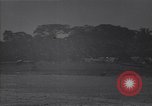 Image of Wrecked American warplanes Guadalcanal Solomon Islands, 1944, second 27 stock footage video 65675036201
