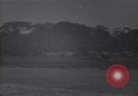 Image of Wrecked American warplanes Guadalcanal Solomon Islands, 1944, second 28 stock footage video 65675036201