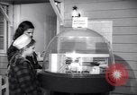 Image of designs of modern kitchens New York United States USA, 1946, second 3 stock footage video 65675036209