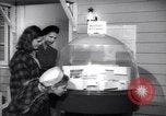 Image of designs of modern kitchens New York United States USA, 1946, second 8 stock footage video 65675036209