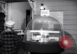 Image of designs of modern kitchens New York United States USA, 1946, second 24 stock footage video 65675036209