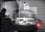 Image of designs of modern kitchens New York United States USA, 1946, second 25 stock footage video 65675036209