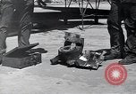 Image of engine B-29 bomber Iwo Jima, 1945, second 40 stock footage video 65675036218