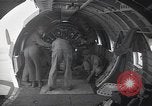 Image of B-29 bomber Iwo Jima, 1945, second 13 stock footage video 65675036225