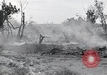 Standbild P-51 Mustang Iwo Jima, 1945, aus Sekunde 19 historischem Filmmaterial Videoclip 65675036228