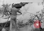 Standbild P-51 Mustang Iwo Jima, 1945, aus Sekunde 56 historischem Filmmaterial Videoclip 65675036228