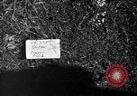 Standbild B-29 Bomber Saipan Nördliche Marianen, 1945, aus Sekunde 5 historischem Filmmaterial Videoclip 65675036229