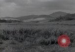 Immagine di Isley base di campo Saipan Isole Marianne Settentrionali, 1944, secondo 49 filmato di repertorio 65675036249