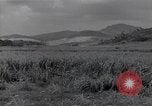 Immagine di Isley base di campo Saipan Isole Marianne Settentrionali, 1944, secondo 51 filmato di repertorio 65675036249
