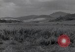 Immagine di Isley base di campo Saipan Isole Marianne Settentrionali, 1944, secondo 52 filmato di repertorio 65675036249