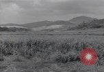 Immagine di Isley base di campo Saipan Isole Marianne Settentrionali, 1944, secondo 56 filmato di repertorio 65675036249