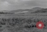 Immagine di Isley base di campo Saipan Isole Marianne Settentrionali, 1944, secondo 57 filmato di repertorio 65675036249