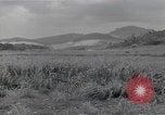 Immagine di Isley base di campo Saipan Isole Marianne Settentrionali, 1944, secondo 58 filmato di repertorio 65675036249