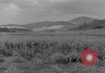 Immagine di Isley base di campo Saipan Isole Marianne Settentrionali, 1944, secondo 59 filmato di repertorio 65675036249