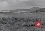 Immagine di Isley base di campo Saipan Isole Marianne Settentrionali, 1944, secondo 60 filmato di repertorio 65675036249