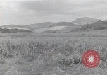 Immagine di Isley base di campo Saipan Isole Marianne Settentrionali, 1944, secondo 61 filmato di repertorio 65675036249