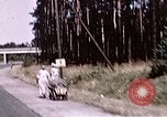 Standbild Präsident Harry Truman Berlin Deutschland, 1945, aus Sekunde 18 historischem Filmmaterial Videoclip 65675036256