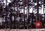 Standbild Präsident Harry Truman Berlin Deutschland, 1945, aus Sekunde 43 historischem Filmmaterial Videoclip 65675036256
