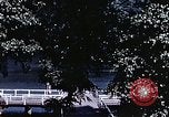 Immagine di Case e lago Gribnitz Berlino Germania, 1945, secondo 34 filmato di repertorio 65675036263