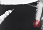 Image of Air war over Europe in World War 2 Germany, 1944, second 18 stock footage video 65675036271