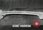 Immagine di Bomba atomica vittime Hiroshima Giappone, 1945, secondo 11 filmato di repertorio 65675036295
