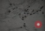 Immagine di Bomba atomica vittime Hiroshima Giappone, 1945, secondo 20 filmato di repertorio 65675036295