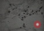 Immagine di Bomba atomica vittime Hiroshima Giappone, 1945, secondo 21 filmato di repertorio 65675036295