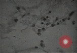 Immagine di Bomba atomica vittime Hiroshima Giappone, 1945, secondo 22 filmato di repertorio 65675036295