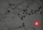 Immagine di Bomba atomica vittime Hiroshima Giappone, 1945, secondo 23 filmato di repertorio 65675036295