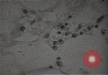 Immagine di Bomba atomica vittime Hiroshima Giappone, 1945, secondo 25 filmato di repertorio 65675036295