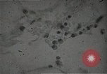Immagine di Bomba atomica vittime Hiroshima Giappone, 1945, secondo 26 filmato di repertorio 65675036295