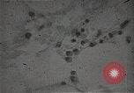Immagine di Bomba atomica vittime Hiroshima Giappone, 1945, secondo 27 filmato di repertorio 65675036295