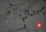 Immagine di Bomba atomica vittime Hiroshima Giappone, 1945, secondo 28 filmato di repertorio 65675036295