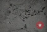 Immagine di Bomba atomica vittime Hiroshima Giappone, 1945, secondo 29 filmato di repertorio 65675036295
