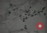 Immagine di Bomba atomica vittime Hiroshima Giappone, 1945, secondo 30 filmato di repertorio 65675036295