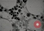 Immagine di Bomba atomica vittime Hiroshima Giappone, 1945, secondo 32 filmato di repertorio 65675036295