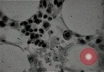 Immagine di Bomba atomica vittime Hiroshima Giappone, 1945, secondo 34 filmato di repertorio 65675036295