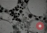 Immagine di Bomba atomica vittime Hiroshima Giappone, 1945, secondo 35 filmato di repertorio 65675036295