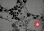 Immagine di Bomba atomica vittime Hiroshima Giappone, 1945, secondo 38 filmato di repertorio 65675036295