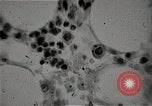 Immagine di Bomba atomica vittime Hiroshima Giappone, 1945, secondo 40 filmato di repertorio 65675036295