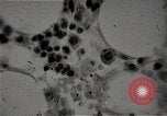 Immagine di Bomba atomica vittime Hiroshima Giappone, 1945, secondo 41 filmato di repertorio 65675036295