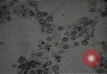 Immagine di Bomba atomica vittime Hiroshima Giappone, 1945, secondo 42 filmato di repertorio 65675036295