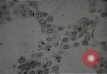 Immagine di Bomba atomica vittime Hiroshima Giappone, 1945, secondo 43 filmato di repertorio 65675036295