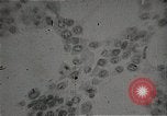 Immagine di Bomba atomica vittime Hiroshima Giappone, 1945, secondo 44 filmato di repertorio 65675036295